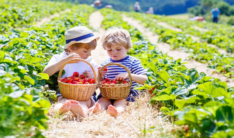 Come far mangiare frutta e verdura ai nostri bambini?