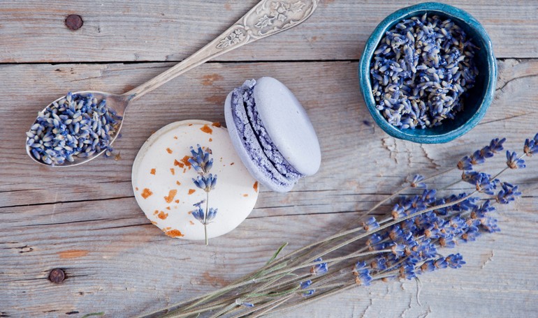 La Lavanda: un fiore d'altri tempi