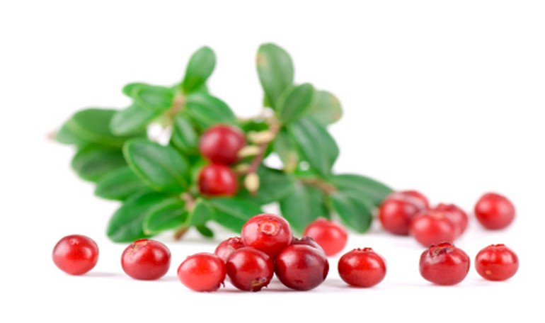 Lingonberry és prostatitis, Okozhat-e az alma hólyaghurutot