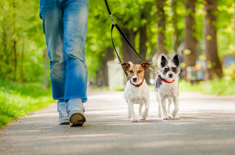 A spasso con fido per mantenersi in forma