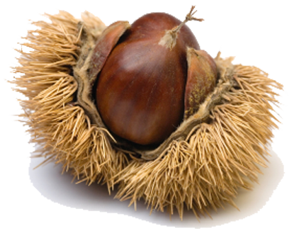 Chestnuts