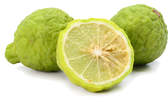 Bergamot