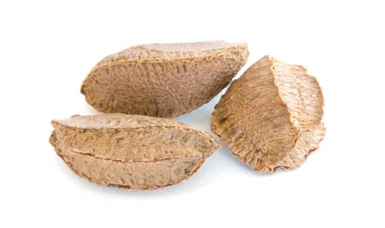 Discover the Brazil nut