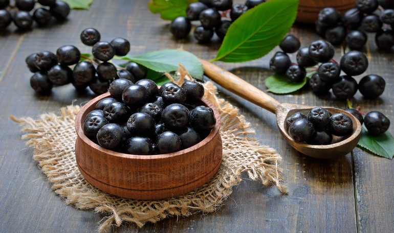 L' Aronia: la bacche dalle infinite virtù