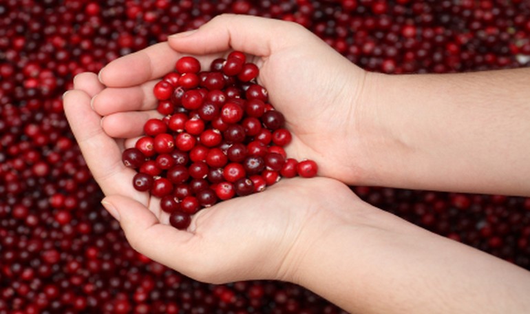 Superfruits: i cranberries