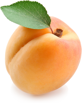 Apricot