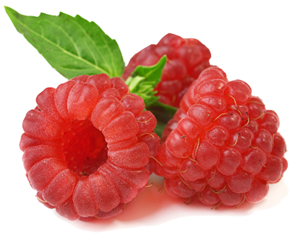 Raspberry