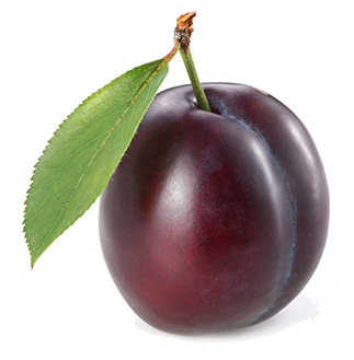 Plum